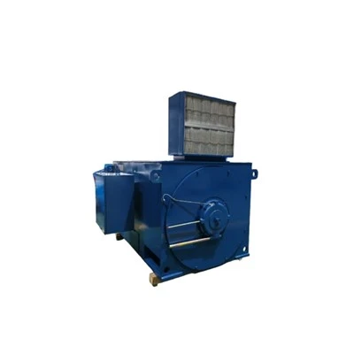 Indukčný motor YJT630-10 The Squirrel Cage 1600 kW 50 Hz